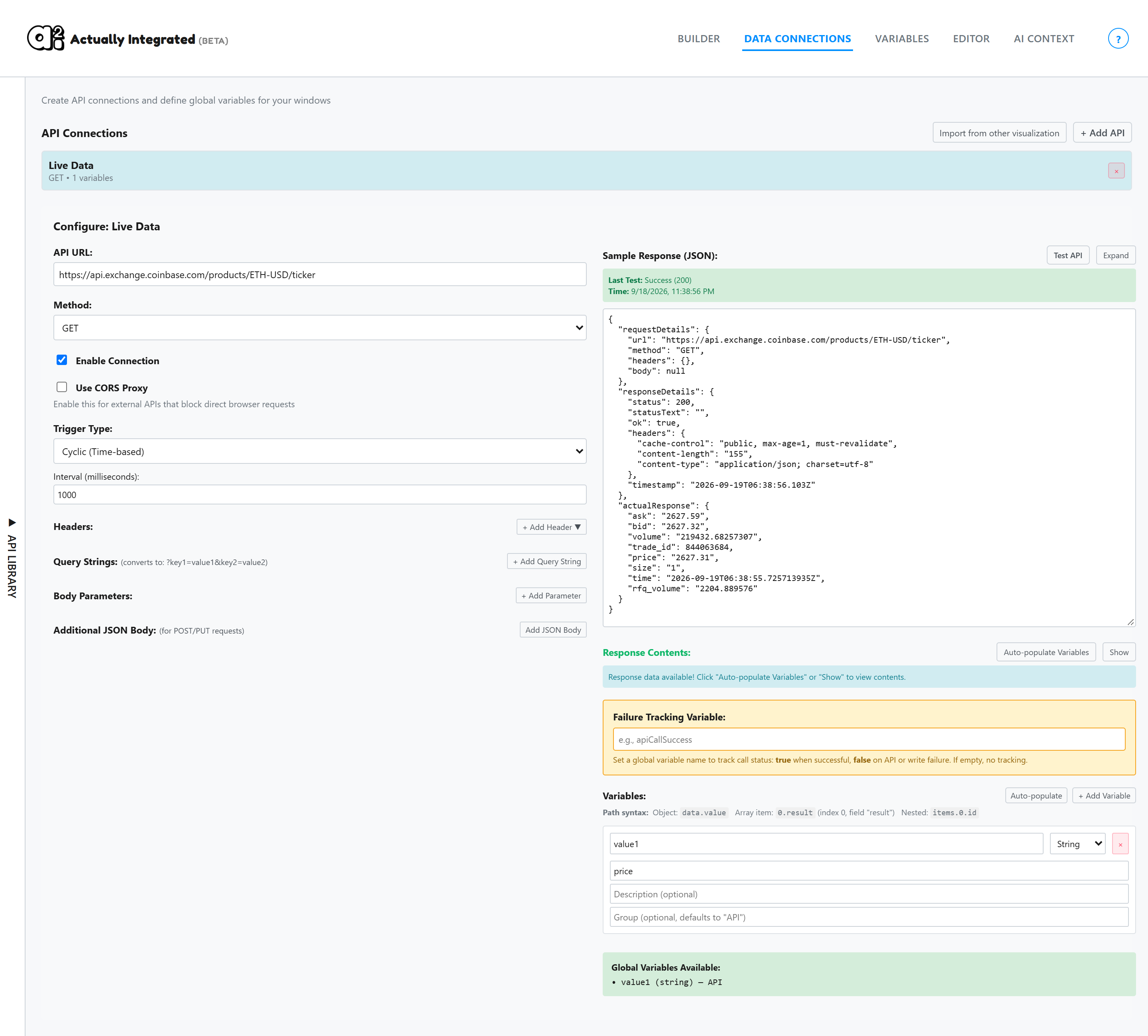The Data Connections tab with an API connection and one variable